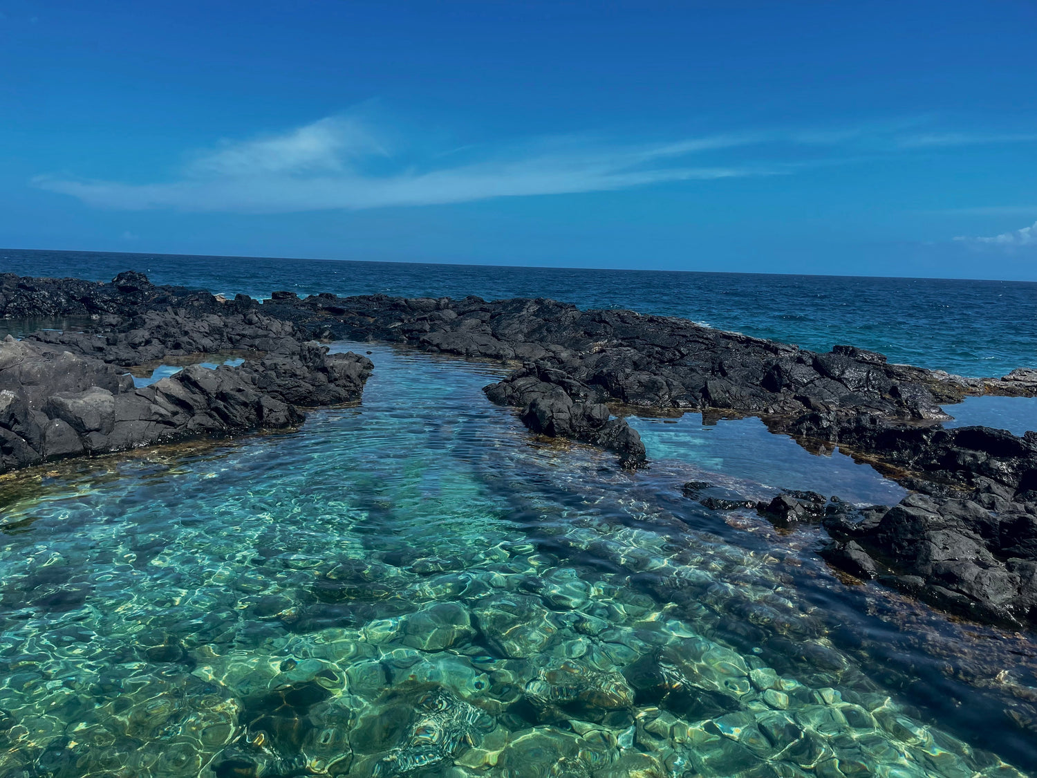 Ambassador Program Immerse Bikinis